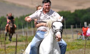 Perde Boeresport in Baardskeerdersbos